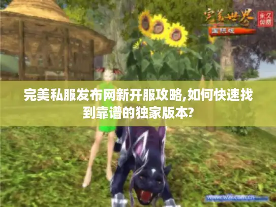 完美私服发布网新开服攻略,如何快速找到靠谱的独家版本?
