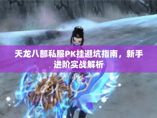 天龙八部私服PK挂避坑指南，新手进阶实战解析