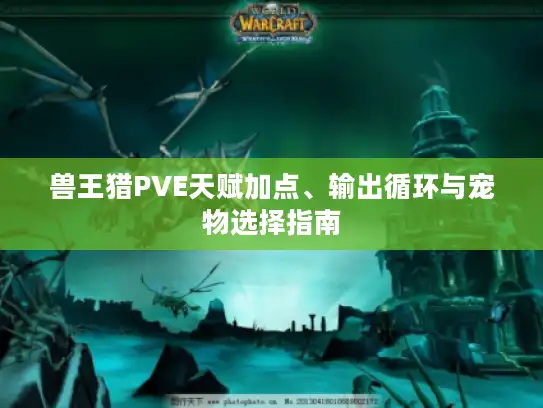 兽王猎PVE天赋加点、输出循环与宠物选择指南