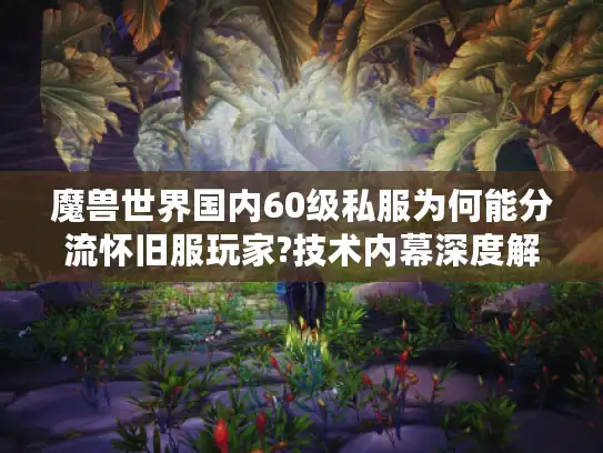 魔兽世界国内60级私服为何能分流怀旧服玩家?技术内幕深度解析