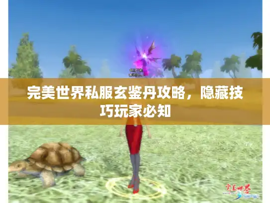 完美世界私服玄鉴丹攻略，隐藏技巧玩家必知