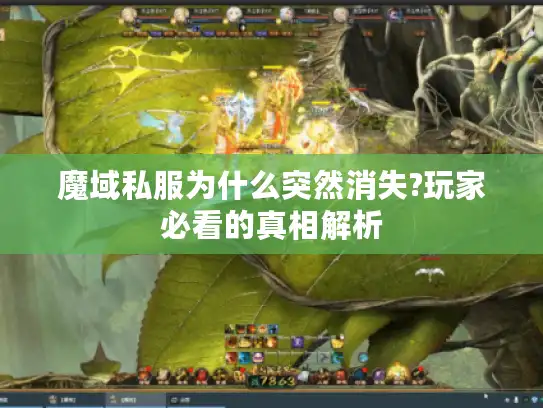 魔域私服为什么突然消失?玩家必看的真相解析