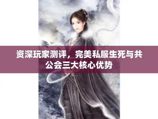 资深玩家测评，完美私服生死与共公会三大核心优势