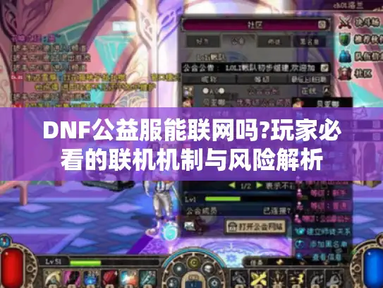 DNF公益服能联网吗?玩家必看的联机机制与风险解析 DNF公益服能联网吗?玩家必看的联机机制与风险解析