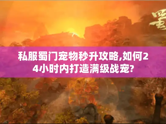 私服蜀门宠物秒升攻略,如何24小时内打造满级战宠?
