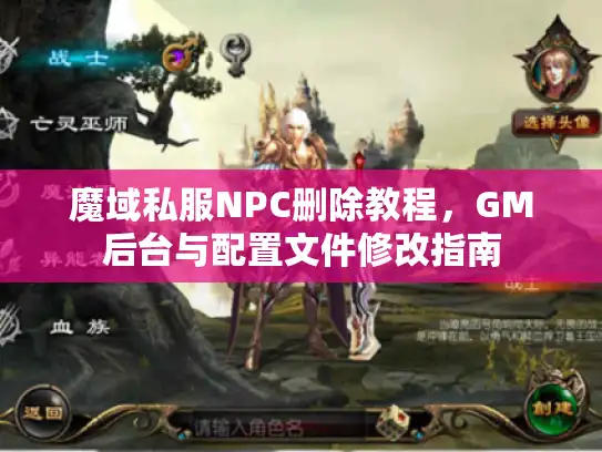 魔域私服NPC删除教程，GM后台与配置文件修改指南