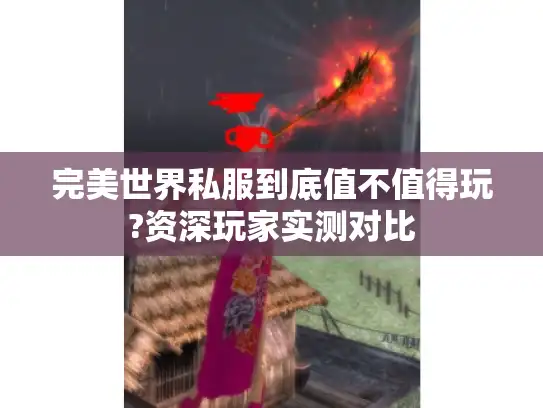 完美世界私服到底值不值得玩?资深玩家实测对比