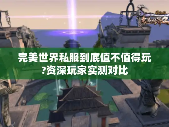 完美世界私服到底值不值得玩?资深玩家实测对比