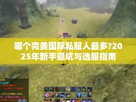 哪个完美国际私服人最多?2025年新手避坑与选服指南
