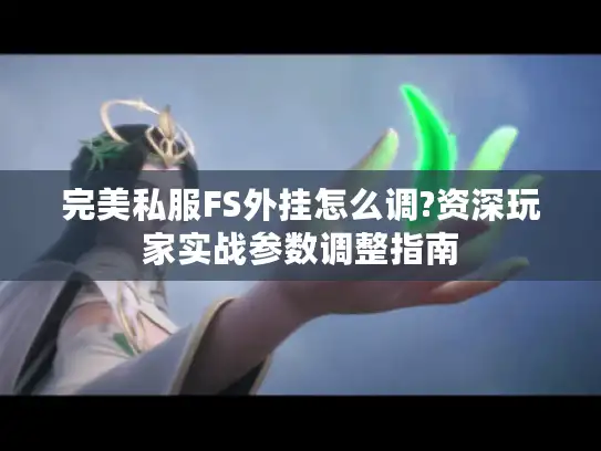 完美私服FS外挂怎么调?资深玩家实战参数调整指南