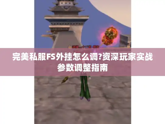 完美私服FS外挂怎么调?资深玩家实战参数调整指南