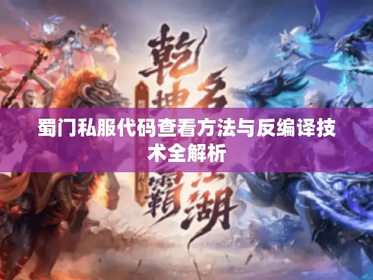 蜀门私服代码查看方法与反编译技术全解析