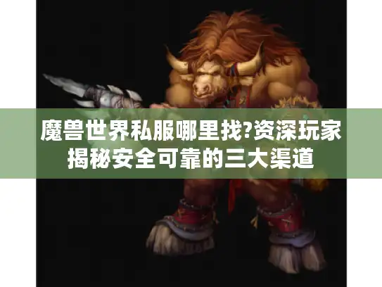 魔兽世界私服哪里找?资深玩家揭秘安全可靠的三大渠道