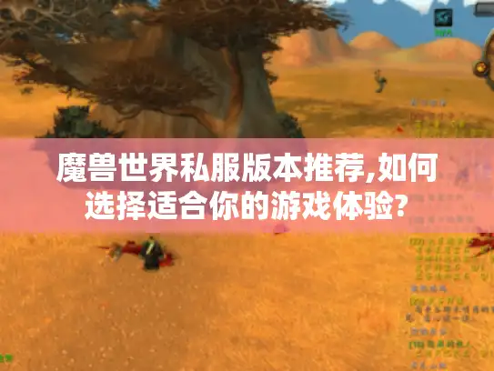 魔兽世界私服版本推荐,如何选择适合你的游戏体验?