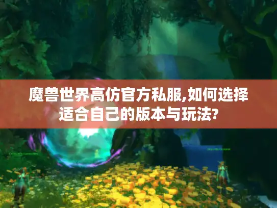 魔兽世界高仿官方私服,如何选择适合自己的版本与玩法?