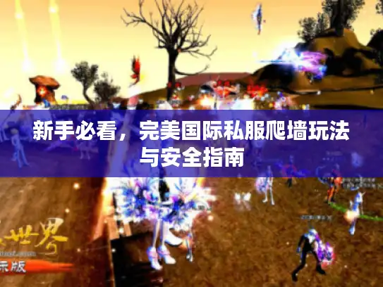 新手必看，完美国际私服爬墙玩法与安全指南
