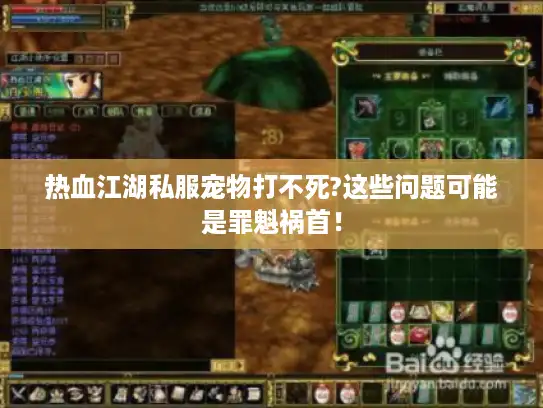 热血江湖私服宠物打不死?这些问题可能是罪魁祸首！