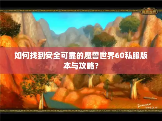 如何找到安全可靠的魔兽世界60私服版本与攻略？