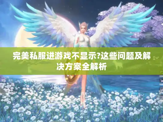 完美私服进游戏不显示?这些问题及解决方案全解析