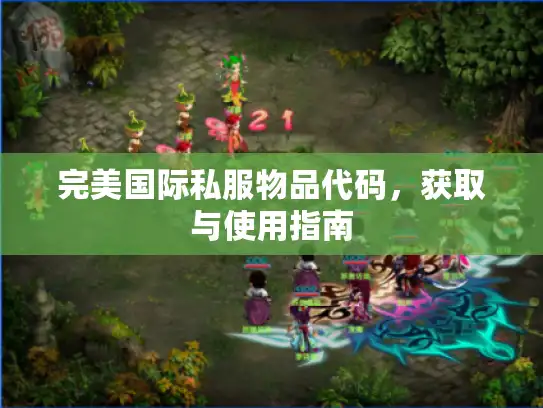 完美国际私服物品代码,获取与使用指南 完美国际私服物品代码,获取与使用指南