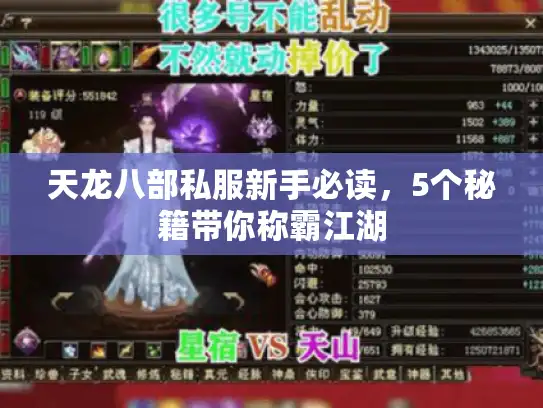 天龙八部私服新手必读，5个秘籍带你称霸江湖