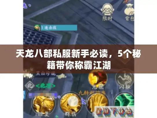 天龙八部私服新手必读，5个秘籍带你称霸江湖