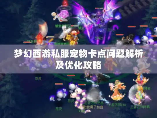 梦幻西游私服宠物卡点问题解析及优化攻略