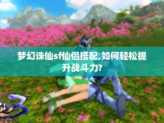 梦幻诛仙sf仙侣搭配,如何轻松提升战斗力?