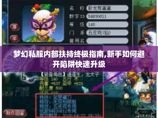 梦幻私服内部扶持终极指南,新手如何避开陷阱快速升级