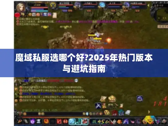 魔域私服选哪个好?2025年热门版本与避坑指南