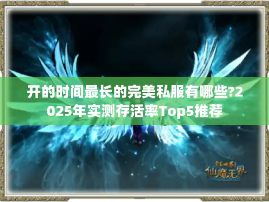 开的时间最长的完美私服有哪些?2025年实测存活率Top5推荐