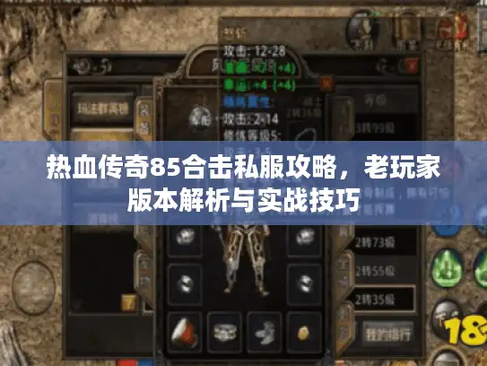 热血传奇85合击私服攻略，老玩家版本解析与实战技巧