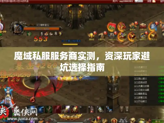 魔域私服服务商实测,资深玩家避坑选择指南 魔域私服服务商实测,资深玩家避坑选择指南