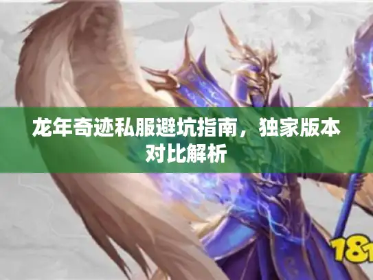 龙年奇迹私服避坑指南，独家版本对比解析