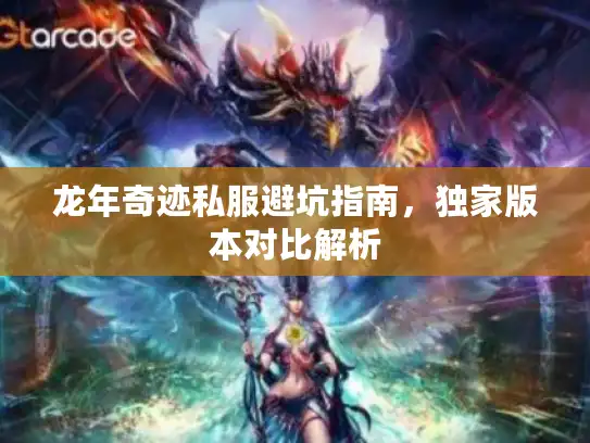 龙年奇迹私服避坑指南，独家版本对比解析