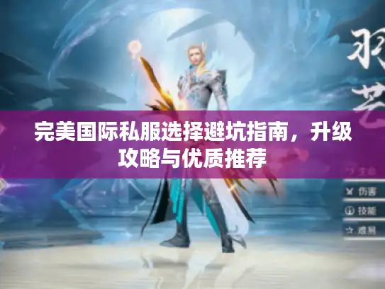 完美国际私服选择避坑指南，升级攻略与优质推荐