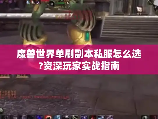 魔兽世界单刷副本私服怎么选?资深玩家实战指南