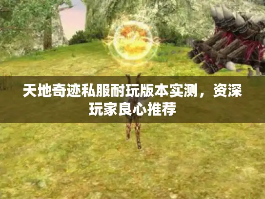 天地奇迹私服耐玩版本实测，资深玩家良心推荐