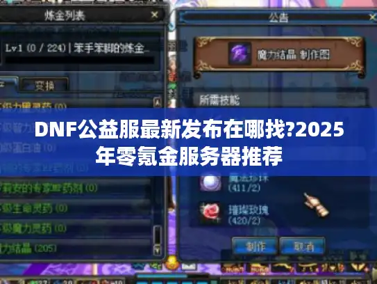 DNF公益服最新发布在哪找?2025年零氪金服务器推荐