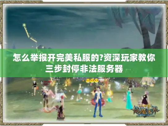 怎么举报开完美私服的?资深玩家教你三步封停非法服务器