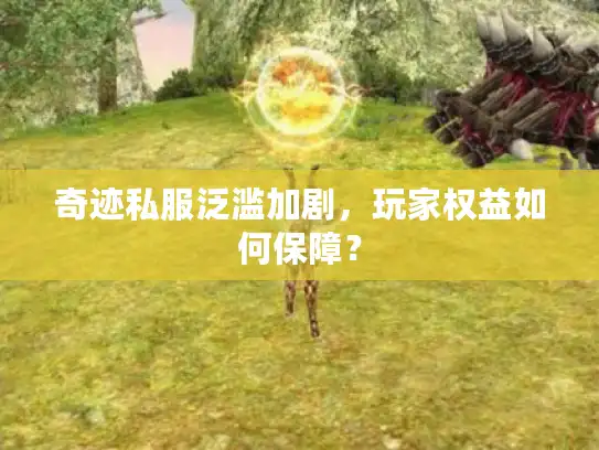 奇迹私服泛滥加剧，玩家权益如何保障？