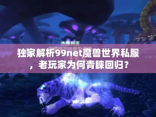 独家解析99net魔兽世界私服,老玩家为何青睐回归? 独家解析99net魔兽世界私服,老玩家为何青睐回归?