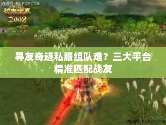 寻友奇迹私服组队难？三大平台精准匹配战友
