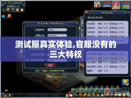 测试服真实体验,官服没有的三大特权