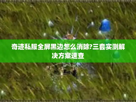 奇迹私服全屏黑边怎么消除?三套实测解决方案速查