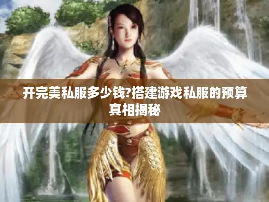 开完美私服多少钱?搭建游戏私服的预算真相揭秘
