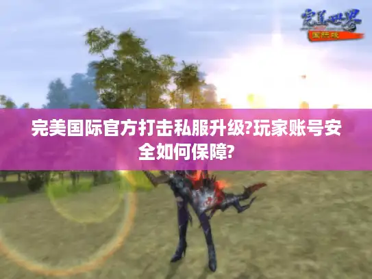 完美国际官方打击私服升级?玩家账号安全如何保障?