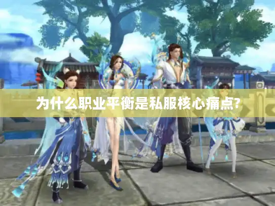 为什么职业平衡是私服核心痛点?