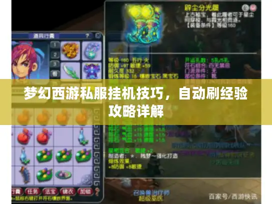 梦幻西游私服挂机技巧，自动刷经验攻略详解