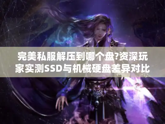 完美私服解压到哪个盘?资深玩家实测SSD与机械硬盘差异对比